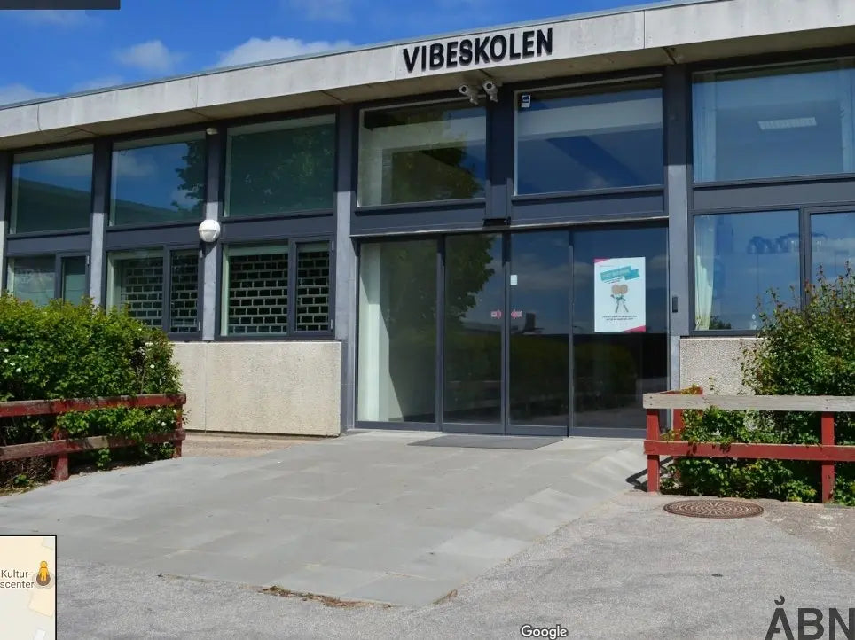 Vibe school